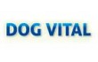 Dog Vital